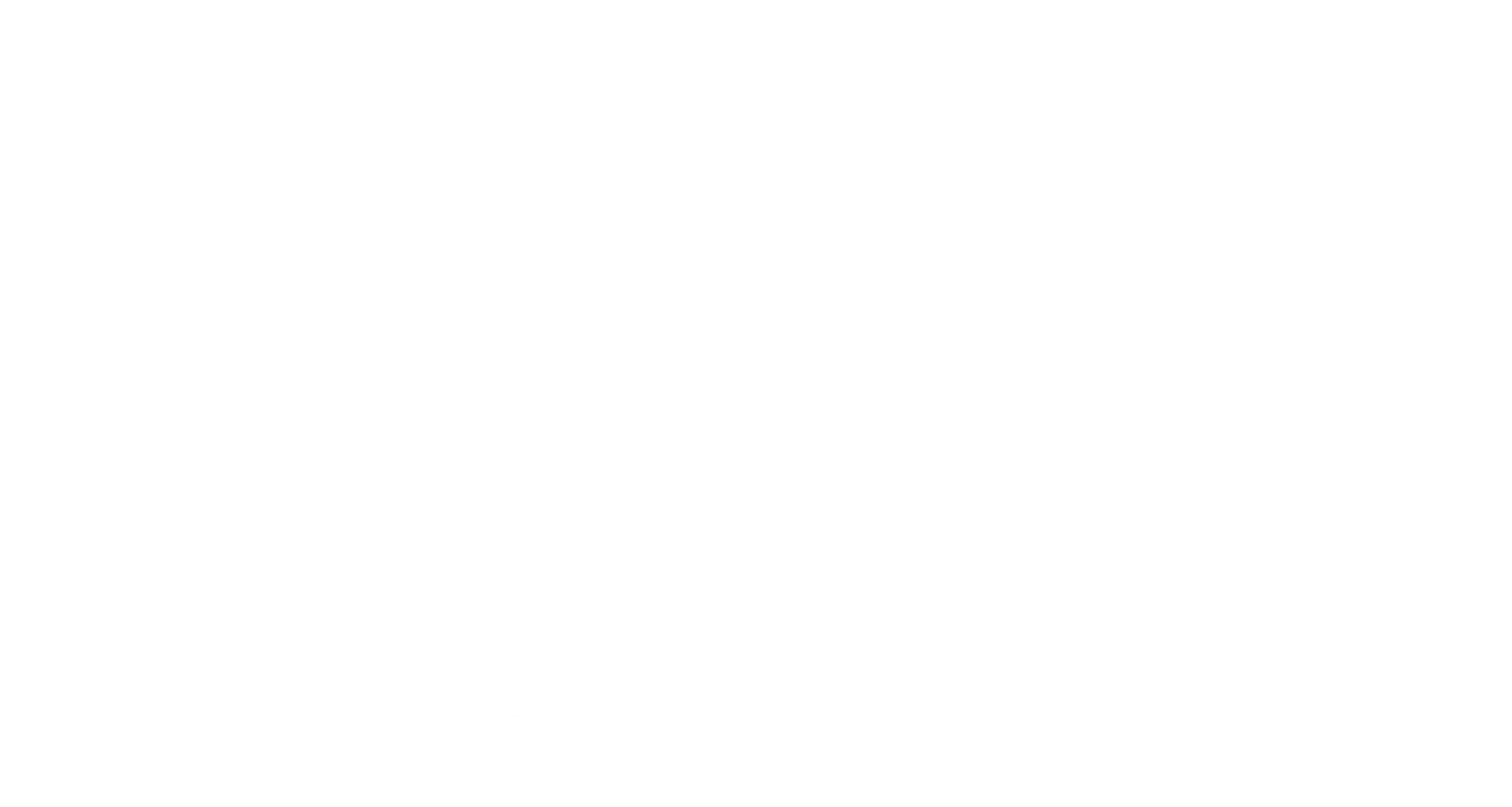 Bruker Biomedical Systems Logo, White 1C