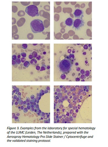 A Good Picture is Worth a Thousand Words